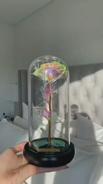 Rose Flower Gift